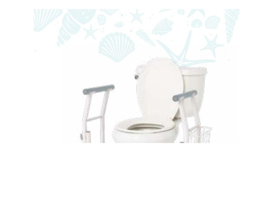 Freestanding toilet safety rail